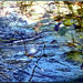Water Fantasy