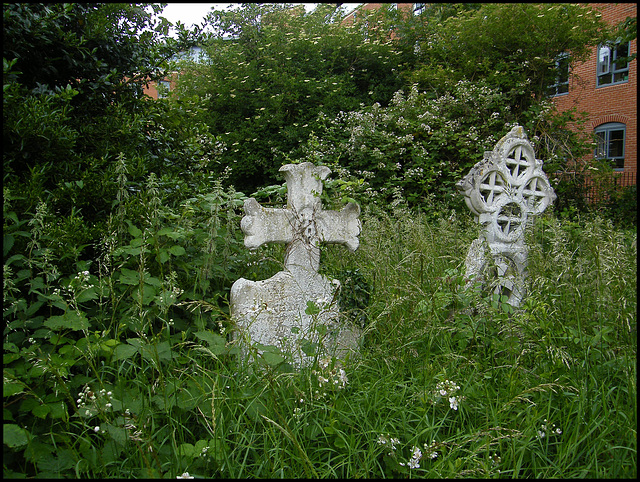 wildlife graveyard