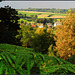 view over  piece of valkenburg to the  north