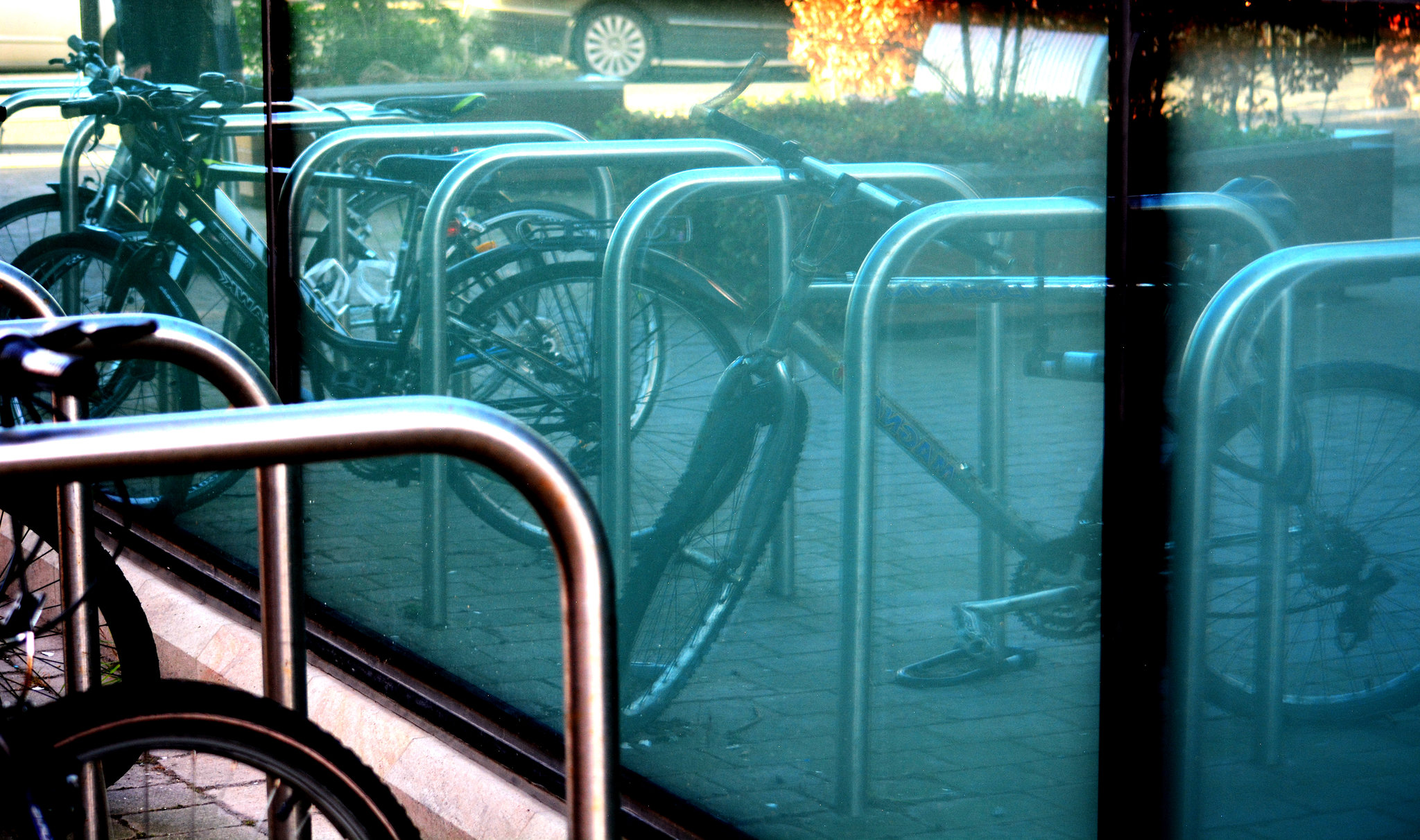 Campus Bikes