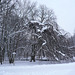 Schloss Nymphenburg Gardens In Winter