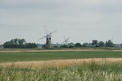 Windpumps On The Bure