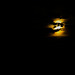Nacht, Braunlage