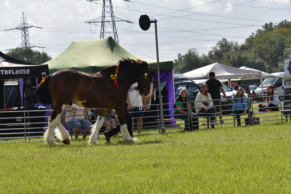 179thcasaug122023 (1131)
