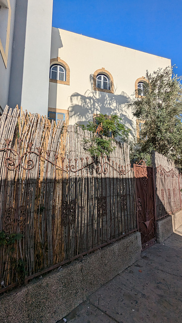 Clôture en bambous / Bamboo fence