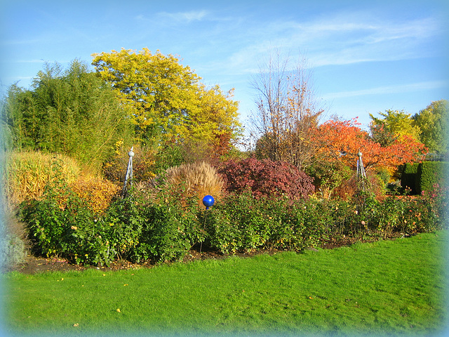 301/365 - Herbstfarben im Gartencenter