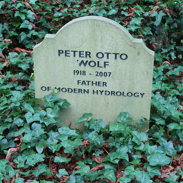Peter Wolf, civil engineer