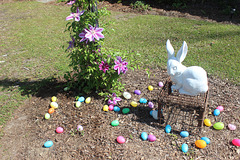 Happy Easter!!!   another Visitor, overseeing the Easter Eggs. :)