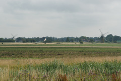 Windpumps On The Bure