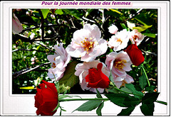 Le 8 mars est la Journée Internationale pour les Droits des Femmes 8 mars, c'est toute l'année !