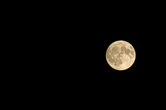 Full Moon