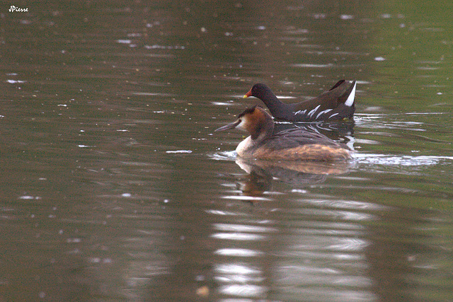 Sur le fil...de l eau