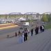 The Wedding Party