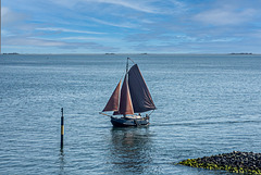 Kleiner Giekewer im Wattenmeer vor Amrum Kleiner Giekewer im Wattenmeer vor Amrum