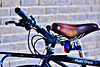 Campus Bikes