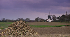 Beet Mill