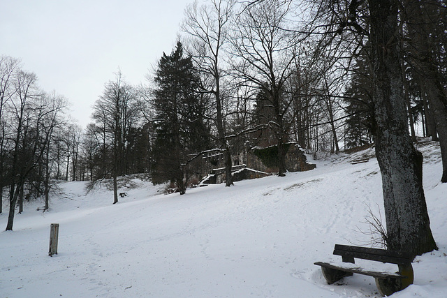 Baumgarten In Winter