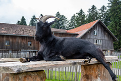 Skywalk-0170 Skywalk-0170