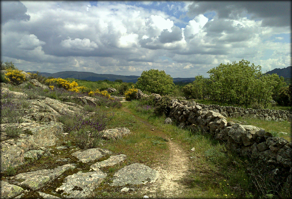 Madrid Province north of La Cabrera