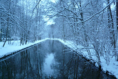 Schloss Nymphenburg Gardens In Winter