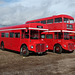 Preserved former London Transport Routemasters at Showbus - 29 Sep 2019 (P1040636)