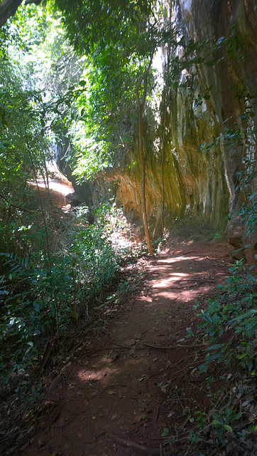 Nature Trail