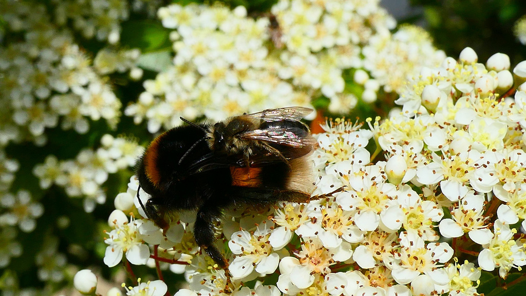 P1218796