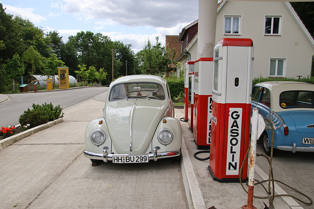 Die letzten ihrer Art