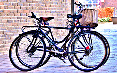 Campus Bikes
