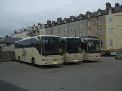 DSCF9929 Alfa Travel BU13 ZTT, PN08 KXO and BX15 OEE