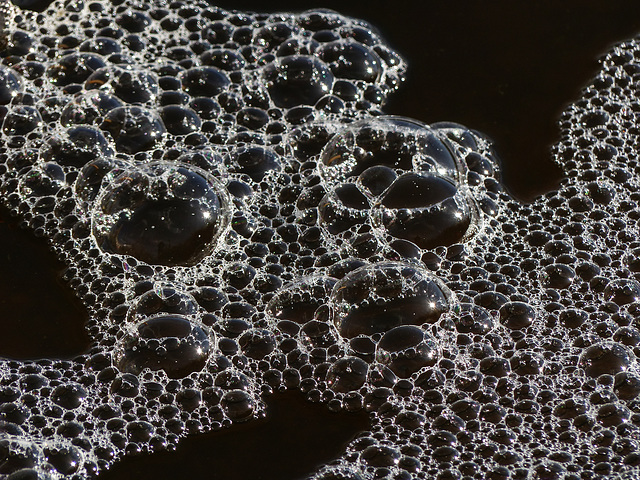 Bubbles at Frank Lake