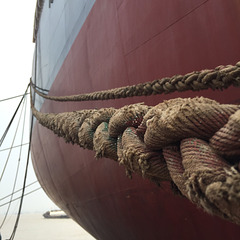 New ship tied up with experienced rope.