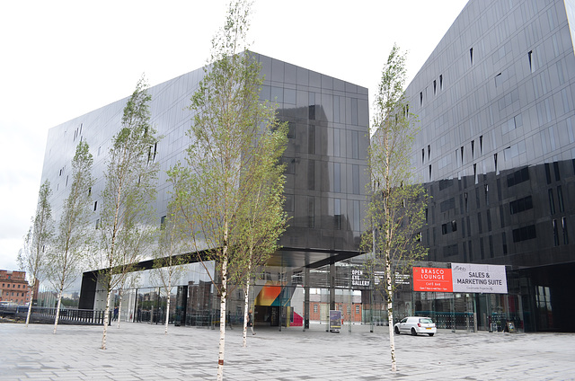 Liverpool, Birch Trees and Mann Island Buildings