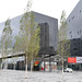 Liverpool, Birch Trees and Mann Island Buildings