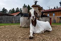 Skywalk-0172 Skywalk-0172