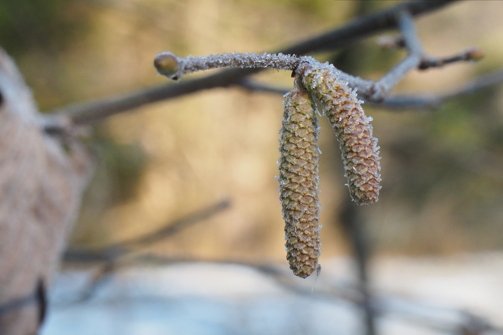 2022-01-14 13'31'27 E-M5 0197A