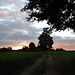 "Le chemin se construit en marchant ....."