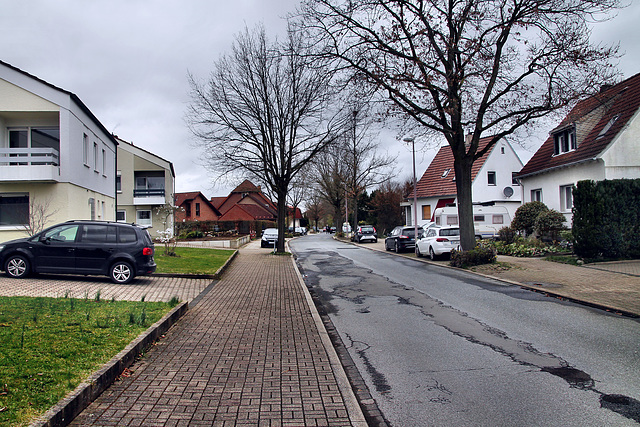 Vaersthausener Straße (Unna-Königsborn) / 16.03.2024