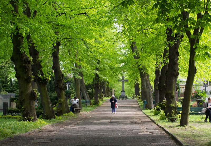 Berlin St Matthäus Kirchfriedhof (#0083)