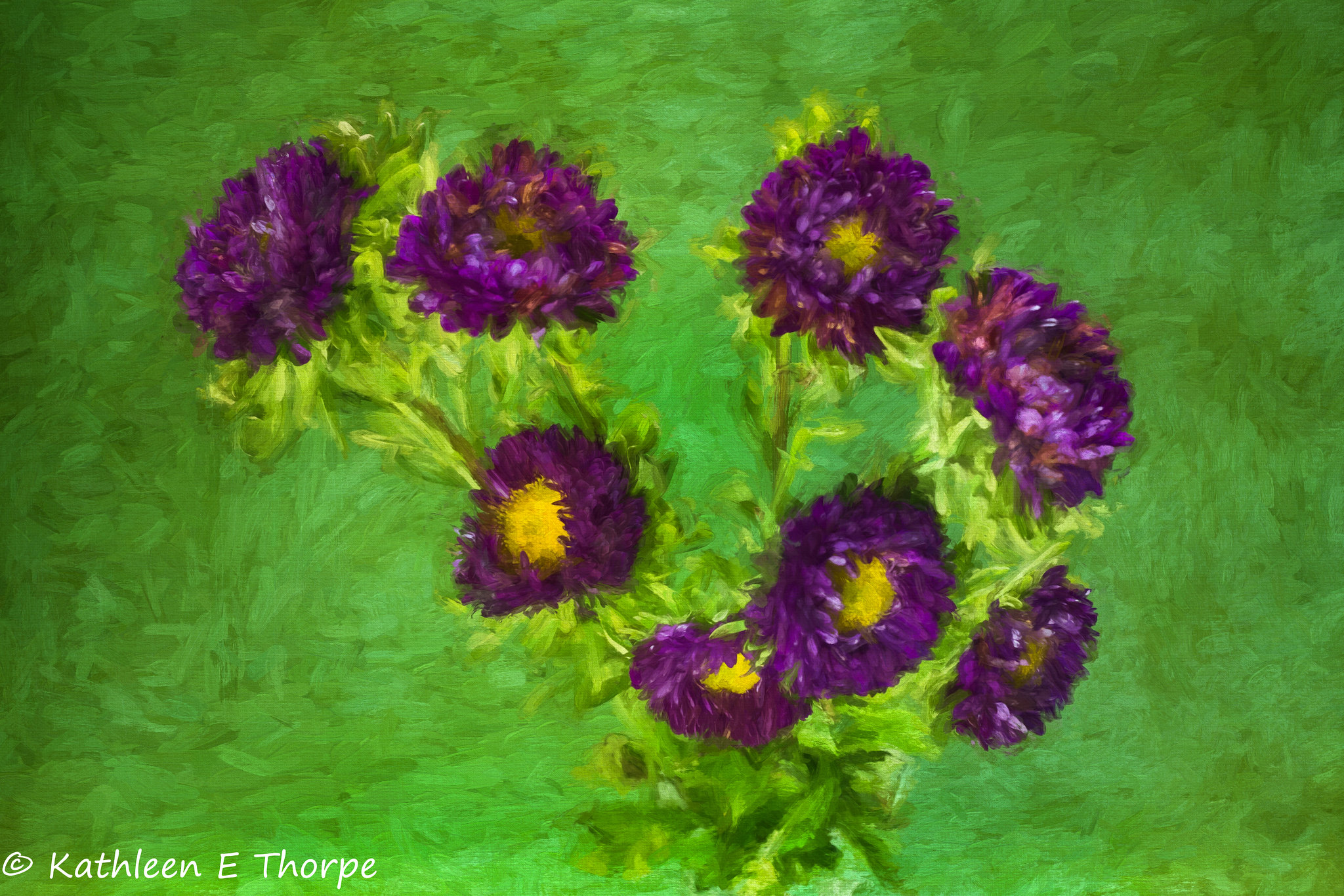 Aster 042716-001 Impressionistic