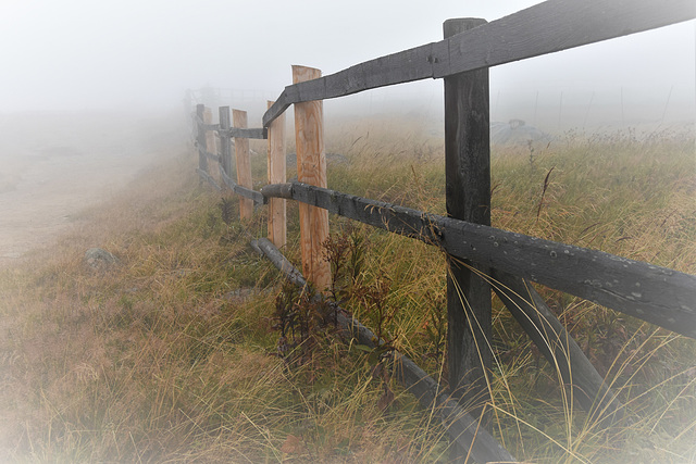 Fence in the mist.  Happy Fence Friday!