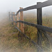 Fence in the mist.  Happy Fence Friday!