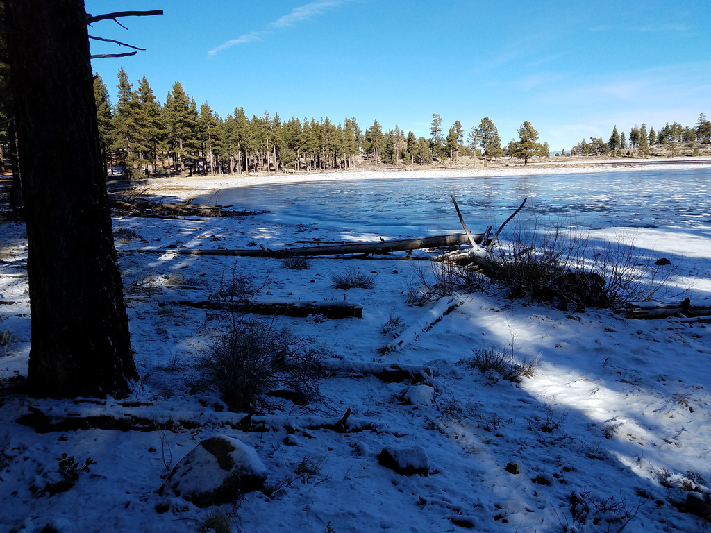 Curtz Lake