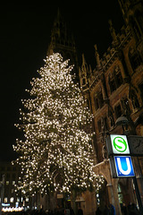 Christmas Tree In Munich