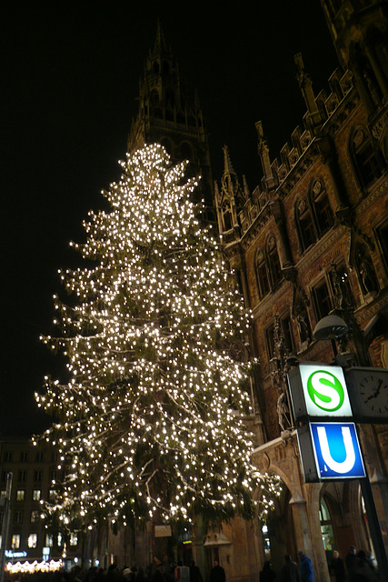 Christmas Tree In Munich