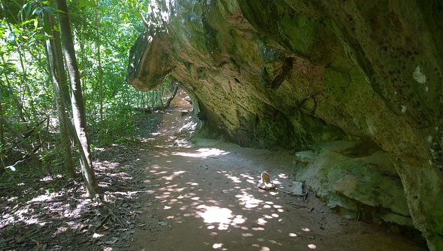 Nature Trail