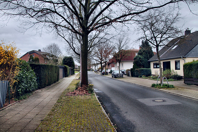 Vaersthausener Straße (Unna-Königsborn) / 16.03.2024