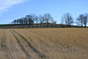 it changed  field