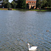 st chad,  lichfield, staffs