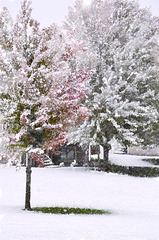 October snow